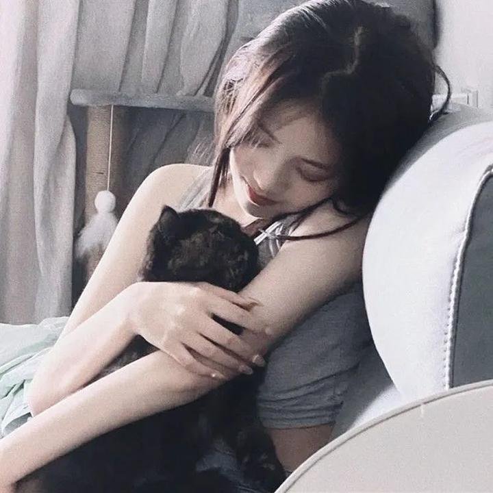 黑之契约者2:流星的双子